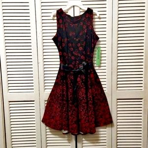 HAANI Dress (Petite XL)
